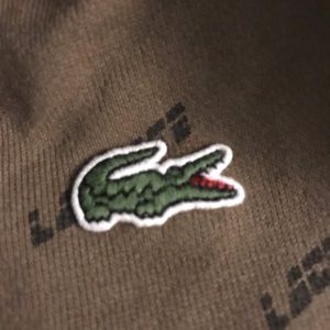 Youth Boys Lacoste Hoodie 💥